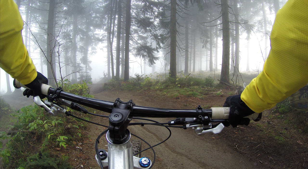 woods